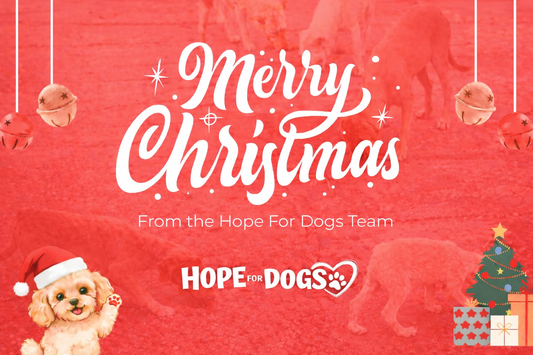 Season's Greetings from Hope For Dogs