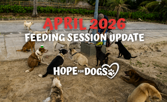 April 2026: The Routes Keep Growing