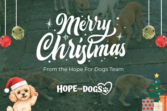Merry Christmas from the Hope For Dogs Team