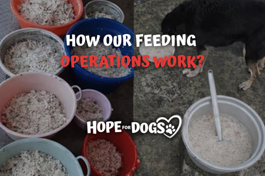 How Our Feeding Operations Work