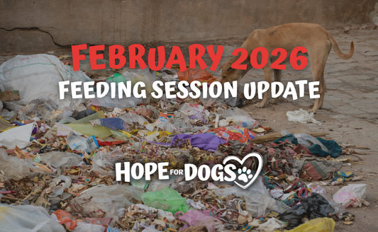 blog february