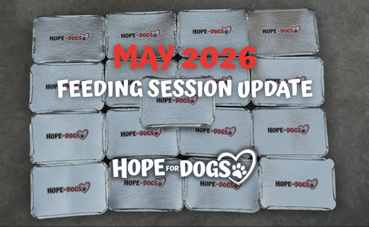 May 2026: More Dogs. More Routes. More Bowls.
