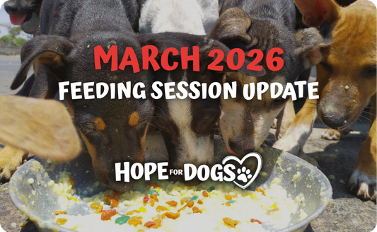 March 2026: More Dogs Fed, More Love Spread