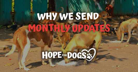 Why We Send Monthly Photos & Videos