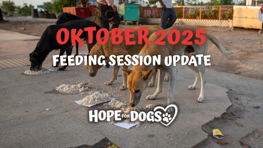 October 2025: Feeding Sessions Worldwide