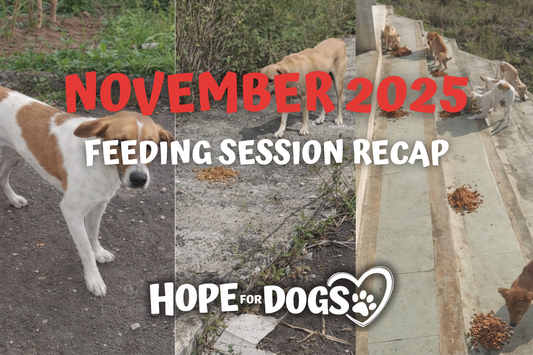 November 2025: A Month We'll Never Forget