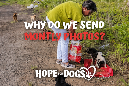 Why We Send Monthly Photos