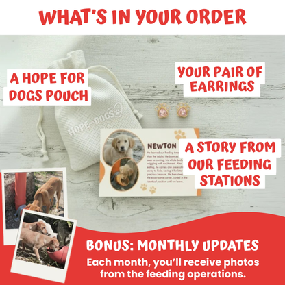 Heart Devotion Earrings